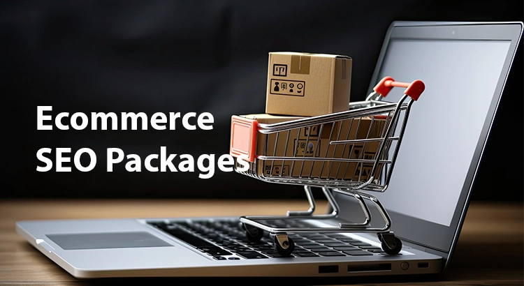 ecommerce seo packages