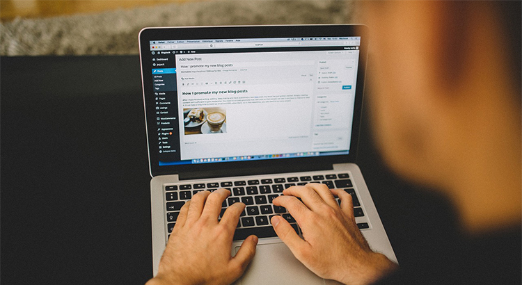 wordpress design kochi