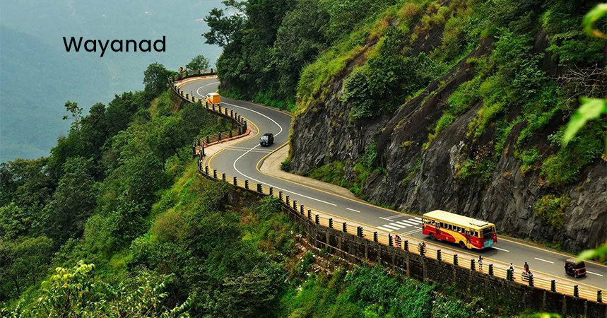 local business guide wayanad